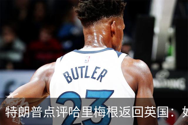 特朗普点评哈里梅根返回英国：如果我是英国王室，我不会接纳他们